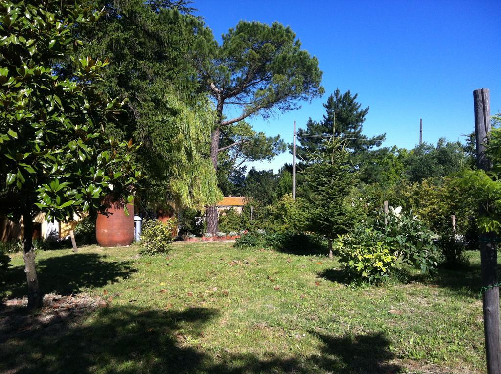 Villa Nunzia Cupramontana Buitenkant foto